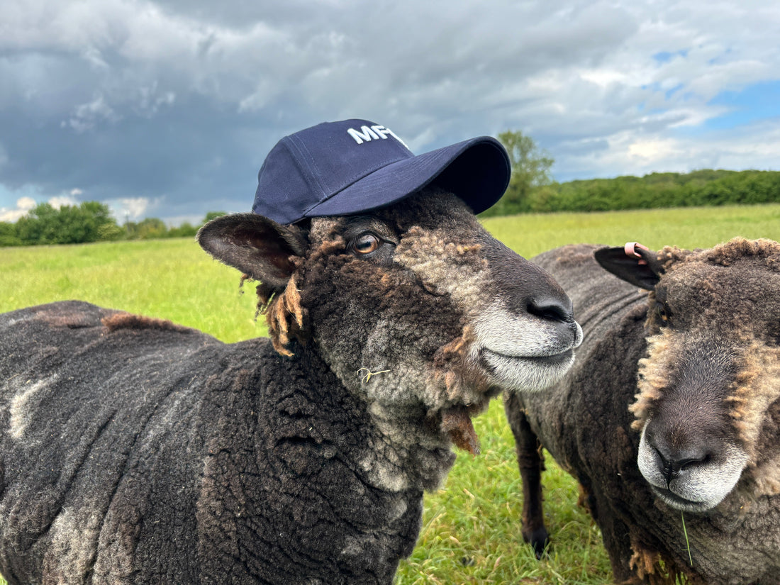 Behind Fen Cowboys: Where Country Charm Meets Unapologetic Style