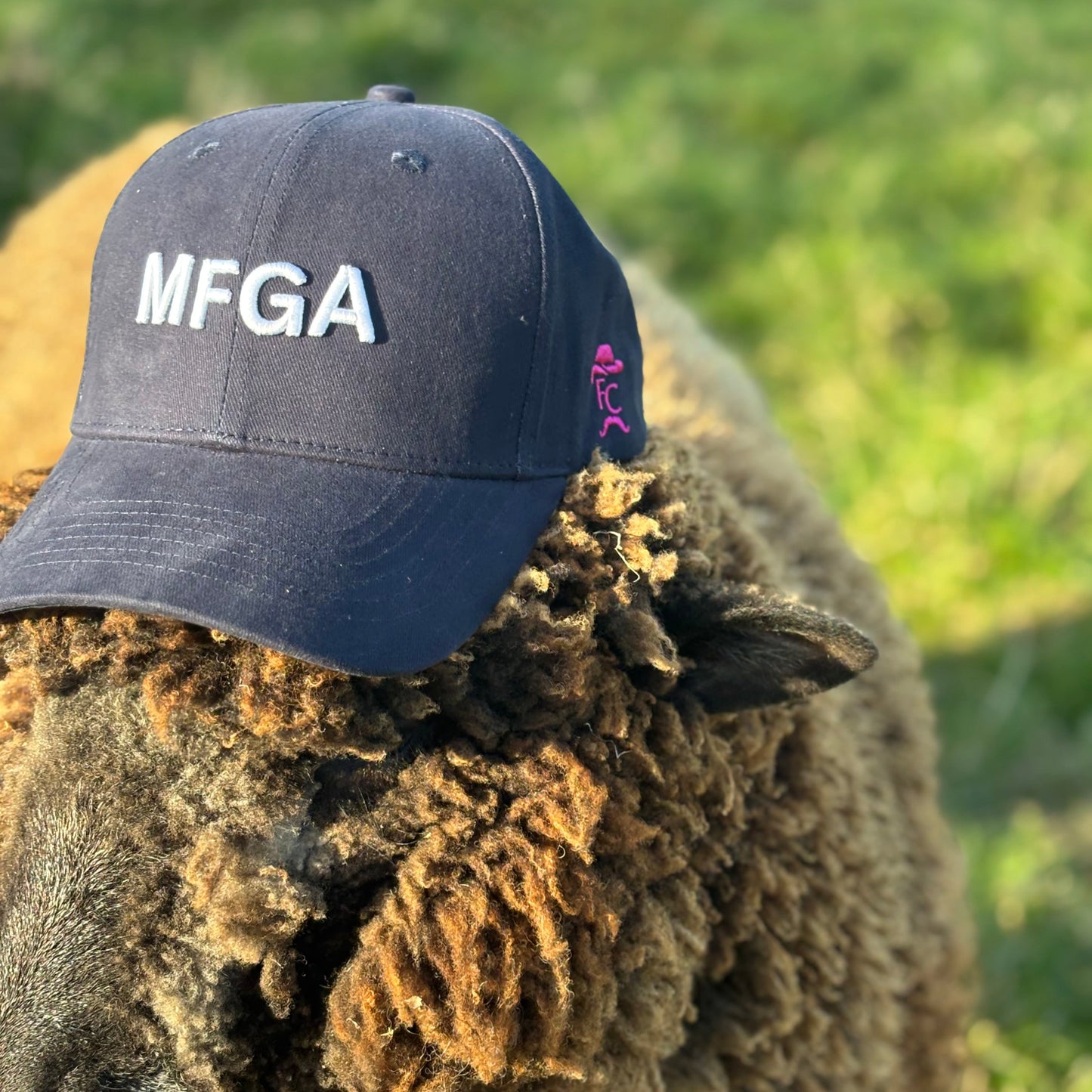 Sheep wearing a black cap with 'MFGA' on a grassy background