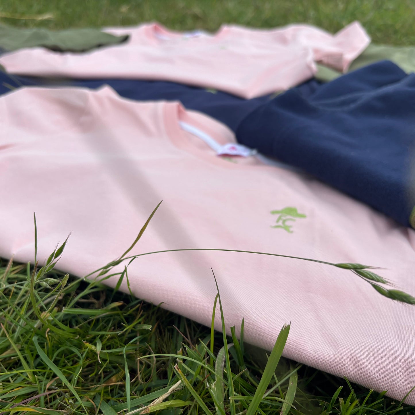 Pink and blue clothing items on grass